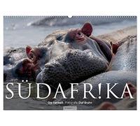 Südafrika - Die Tierwelt (Wandkalender 2026 DIN A2 quer), CALVENDO Monatskalender: 12 wunderschöne Tieraufnahmen aus Südafrika von dem Fotografen und Grafik-Designer Olaf Bruhn
