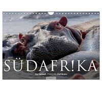 Südafrika - Die Tierwelt (Wandkalender 2026 DIN A4 quer), CALVENDO Monatskalender: 12 wunderschöne Tieraufnahmen aus Südafrika von dem Fotografen und Grafik-Designer Olaf Bruhn