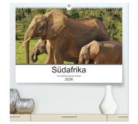 Südafrika - Eine beeindruckende Tierwelt (hochwertiger Premium Wandkalender 2026 DIN A2 quer), Kunstdruck in Hochglanz: Die Wildtiere Südafrikas eindrucksvoll fotografiert