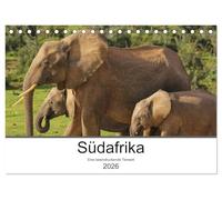 Südafrika - Eine beeindruckende Tierwelt (Tischkalender 2026 DIN A5 quer), CALVENDO Monatskalender: Die Wildtiere Südafrikas eindrucksvoll fotografiert