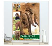 SÜDAFRIKA Wild-Tiere im Addo Elephant Park (hochwertiger Premium Wandkalender 2026 DIN A2 hoch), Kunstdruck in Hochglanz: Der Addo Elephant National ... von Elefanten und anderen Wild-Tieren.