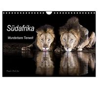 Südafrika wunderbare Tierwelt (Wandkalender 2026 DIN A4 quer), CALVENDO Monatskalender: Einblick in die Tierwelt Südafrikas