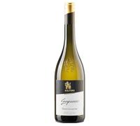 Südtirol - Alto Adige DOC Gewürztraminer Campaner Cantina Caldaro 2023, 0,75 ℓ