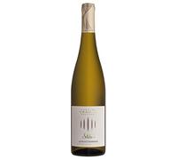 Südtirol - Alto Adige DOC Gewürztraminer Selida Cantina Tramin 2024, 0,75 ℓ