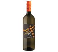 Südtirol - Alto Adige DOC Pinot Grigio Franz Haas 2024, 0,75 ℓ