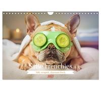 Süße Frenchies (Wandkalender 2027 DIN A4 quer), CALVENDO Monatskalender