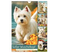 Süßer Wuschelkopf. West Highland White Terrier Momente (Wandkalender 2027 DIN A4
