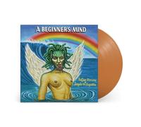 Sufjan Stevens & Angelo De Augustine A Beginner's Mind (Vinyl LP)