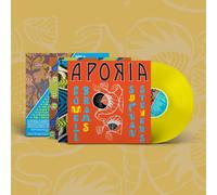 Sufjan Stevens & Lowell Brams Aporia (Vinyl LP)