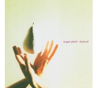 Sugar Plant - Dryfruit