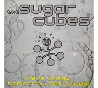 Sugarcubes - Here Today Tomorrow Next Week