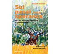Sui passi della speranza. Piccolo itinerario spirituale in tempi confusi