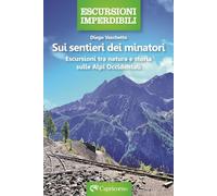 Sui sentieri dei minatori. Escursioni tra natura e storia sulle Alpi Occidentali