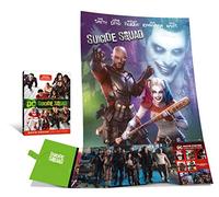 Suicide Squad - Movie Poster (DVD)