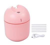 SUIOPPYUW Camera da letto interna 2-in-1 USB Umidificatore Nursery 250ml Olio essenziale Diffusore d'aria Atomizzatore portatile per nebulizzazione Hotel, Rosa 5 bastoncini