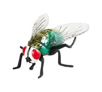 SUIOPPYUW Figure di Mosche realistiche, Giocattolo educativo per Bambini, educazione scientifica e potenziamento delle esperienze di Gioco Creativo, Pesce d'aprile e Altre