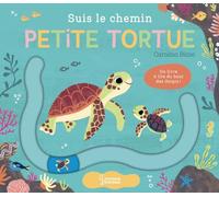 Suis le chemin petite tortue