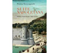 Suite napoletana. Storie, controstorie e altre storie