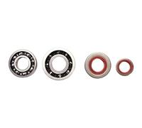 Sujurio Kit paraoli per cuscinetti albero motore per MS660 066 Sostituire 9640 003 1850, 9640 003 1560