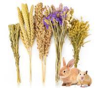 Sukh Biancheria da letto naturale per criceti, spray per criceti, accessori per gabbia per criceti, nascondigli, decorazioni per criceti nani, gerbilli, topi e altri piccoli animali