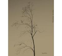 Sul confine. Ediz. italiana e inglese