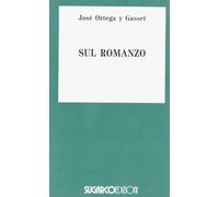 Sul romanzo