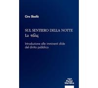 Sul sentiero della notte. La pòlis. Introduzione alle imminenti sfide del diritto pubblico