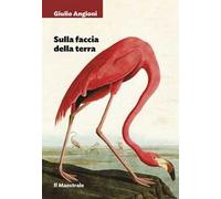 Sulla faccia della terra