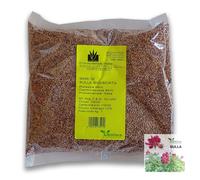 Sulla "Hedysarum coronarium" seme certificato - Mellifera per Apicoltura