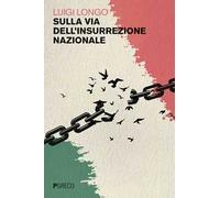 Sulla via dell'insurrezione nazionale