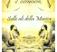 Cicci Condor - Sulle Ali Della Musica 2