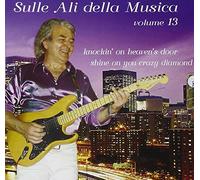 Sulle Ali Della Musica Vol.13