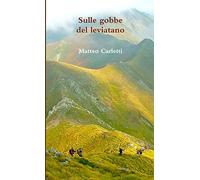 Sulle gobbe del leviatano