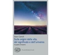 SULLE ORIGINI DELLA VITA, DEL SIGNIFICATO E DELL'UNIVERSO. IL QUADRO D'INSIEME