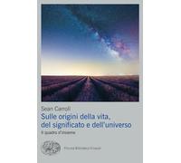 SULLE ORIGINI DELLA VITA, DEL SIGNIFICATO E DELL'UNIVERSO. IL QUADRO D'INSIEME