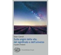 Sulle origini della vita, del significato e dell'universo. Il quadro d'insieme