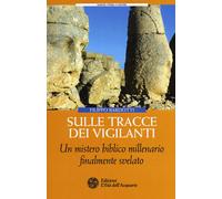 Sulle tracce dei Vigilanti. Un mistero biblico millenario finalmente svelato