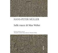 Sulle tracce di Max Weber