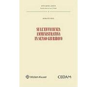 Sull'efficienza amministrativa in senso giuridico