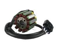 Sulta statore compatibile per il generatore di magneto del motore motociclistico adatta a YZF-R1 2004 2005 2006 2007 2008 Modelli
