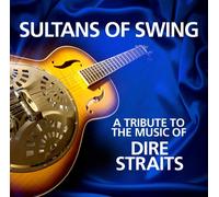 Sultans Of Swing A Tribute To Dire Straits (Vinyl LP)