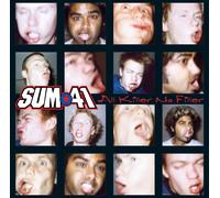 Sum 41 - All Killer No Filler (LP)