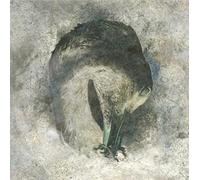 Suma - Ashes (20Th Band Anniversary Edition)