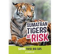 Sumatran Tigers at Risk: Saving These Fierce Big Cats