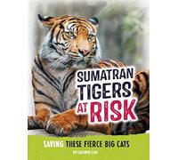 Sumatran Tigers at Risk: Saving These Fierce Big Cats