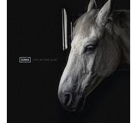 SUMIA - UNTIL WE SHINE AGAIN