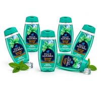 Summer Bronze Docciaschiuma Menta Acquatica, Bagnodoccia Profumato con Menta ed Eucalipto, Formula Delicata con Mallo di Noce, Prolunga l'Abbronzatura, Dermatologicamente Testato - 6 Unita da 250ml