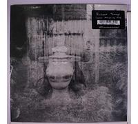 Summer Through My Mind - Richard Youngs (Vinile)