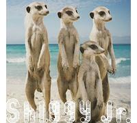 SUMMER TIME LOVE - SHIGGY JR.