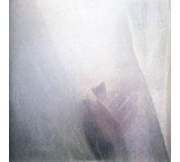 Sun Airway - Wild Palms